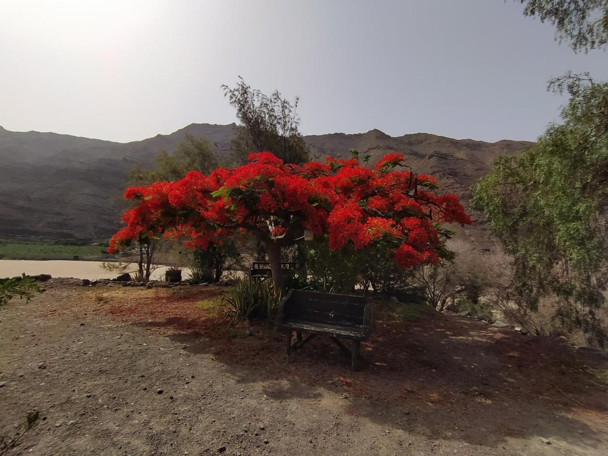 Ca' Isabelita Villa San Nicolás Dış mekan fotoğraf